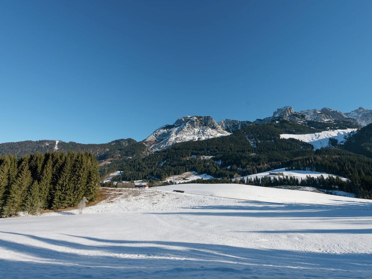 Chalet In Annaberg-Lungoetz With Shared Sauna Villa Buitenkant foto